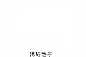 《玻璃温室观察日记》封面，玻璃屋顶透下的光斑落在绿植叶面